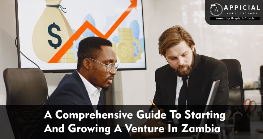 A Comprehensive Guide To Starting And Growing A Venture In Zambia
