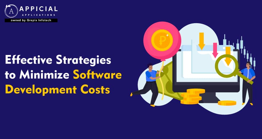 effective-strategies-to-minimize-software-development-costs 