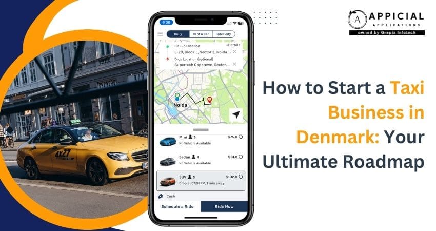 How to Start a Taxi Business in Denmark: Your Ultimate Roadmap