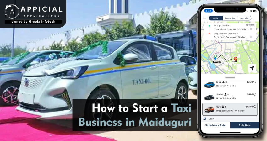 How to Start a Taxi Business in Maiduguri: A Comprehensive Guide