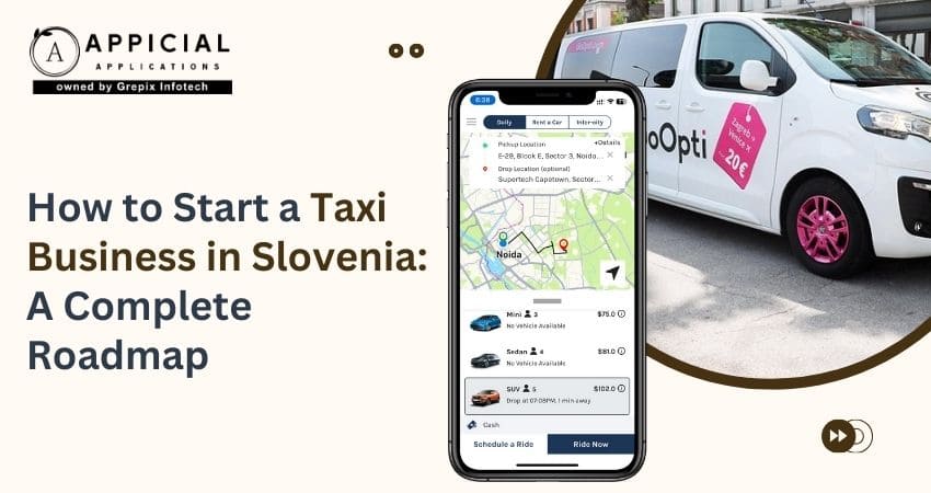 How to Start a Taxi Business in Slovenia: A Complete Roadmap